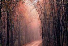 多多28官网：祝贺！这些运动员获表彰中国体育报微博.